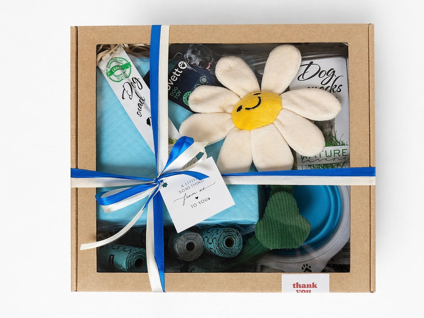 Rinkinys augintiniui “Box for Dogs”